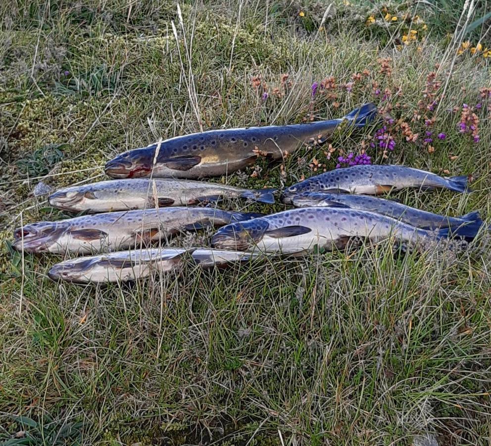 Gite "La Meluzine" Au Bord De La Riviere, Avallon, Vezelay, Morvan Magny  Exteriér fotografie