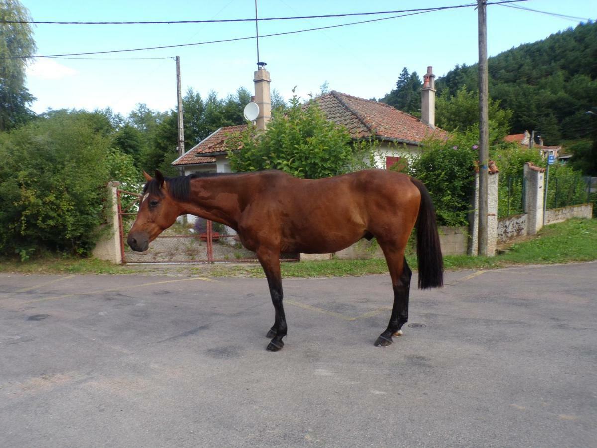 Gite "La Meluzine" Au Bord De La Riviere, Avallon, Vezelay, Morvan Magny  Exteriér fotografie