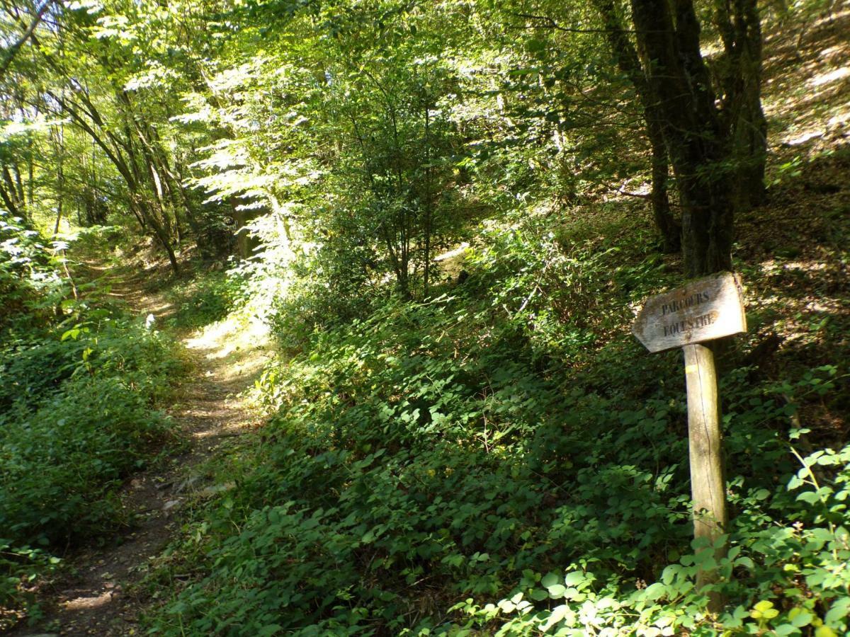 Gite "La Meluzine" Au Bord De La Riviere, Avallon, Vezelay, Morvan Magny  Exteriér fotografie