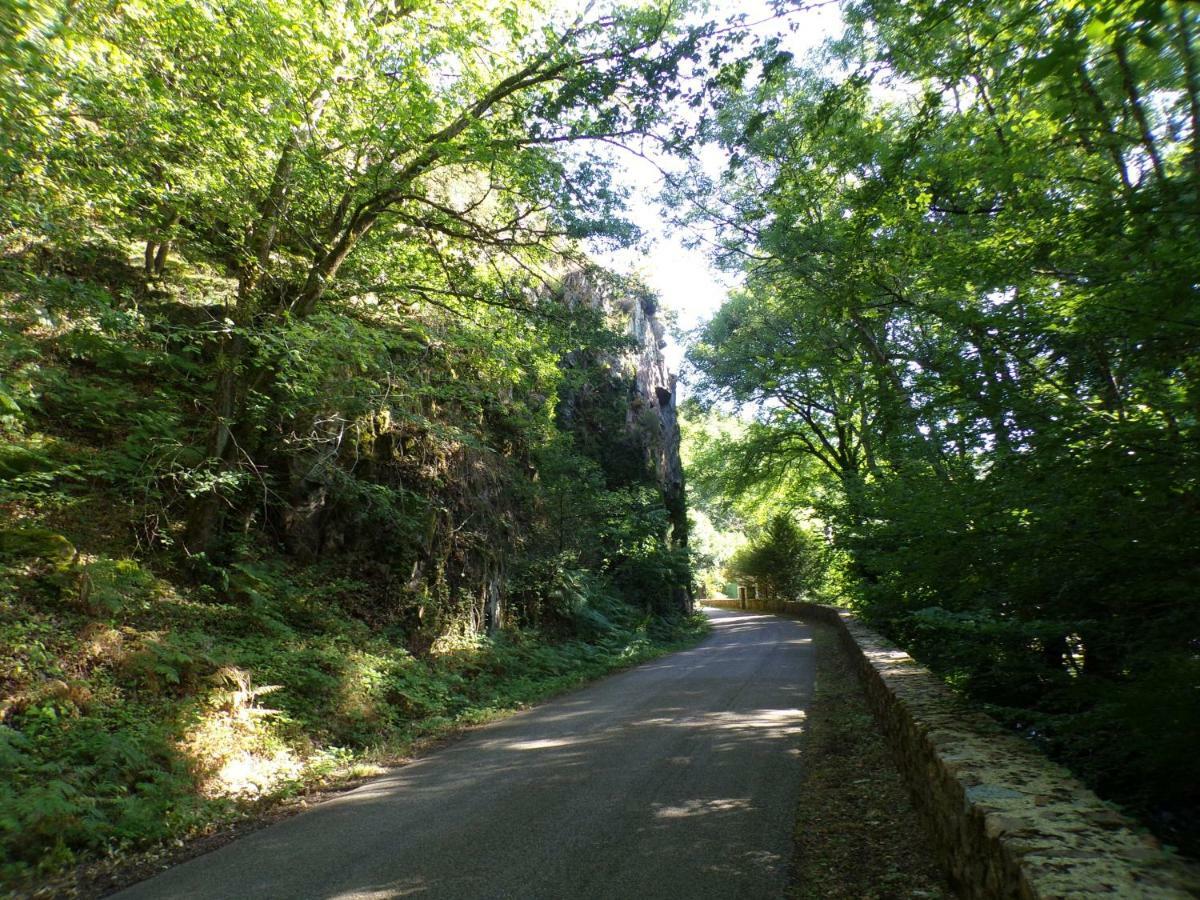 Gite "La Meluzine" Au Bord De La Riviere, Avallon, Vezelay, Morvan Magny  Exteriér fotografie